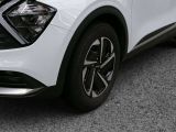 Kia Sportage bei Sportwagen.expert - Abbildung (14 / 15)