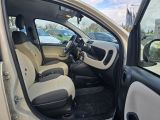 Fiat Panda bei Sportwagen.expert - Abbildung (15 / 15)