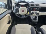 Fiat Panda bei Sportwagen.expert - Abbildung (9 / 15)