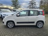 Fiat Panda bei Sportwagen.expert - Abbildung (3 / 15)