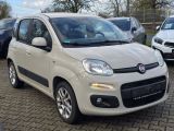 Fiat Panda bei Sportwagen.expert - Abbildung (7 / 15)