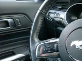 Ford Mustang bei Sportwagen.expert - Abbildung (9 / 15)
