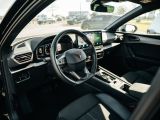 Cupra Leon bei Sportwagen.expert - Abbildung (6 / 15)