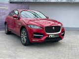 Jaguar F-Pace bei Sportwagen.expert - Abbildung (4 / 15)