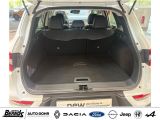 Renault Kadjar bei Sportwagen.expert - Abbildung (6 / 15)