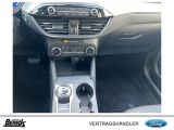 Ford Kuga bei Sportwagen.expert - Abbildung (14 / 15)
