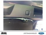 Ford Kuga bei Sportwagen.expert - Abbildung (6 / 15)