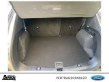 Ford Kuga bei Sportwagen.expert - Abbildung (5 / 15)
