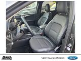 Ford Kuga bei Sportwagen.expert - Abbildung (9 / 15)