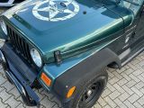 Jeep Wrangler bei Sportwagen.expert - Abbildung (2 / 15)