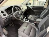 VW Tiguan bei Sportwagen.expert - Abbildung (7 / 15)