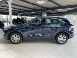 Ford Kuga bei Sportwagen.expert - Abbildung (3 / 15)