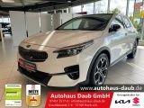 Kia XCeed bei Sportwagen.expert - Abbildung (2 / 15)