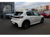 Peugeot 208 bei Sportwagen.expert - Abbildung (3 / 15)