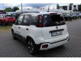 Fiat Panda bei Sportwagen.expert - Abbildung (5 / 15)