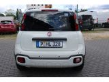 Fiat Panda bei Sportwagen.expert - Abbildung (4 / 15)