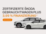 Skoda Kamiq bei Sportwagen.expert - Abbildung (3 / 15)