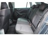Skoda Kamiq bei Sportwagen.expert - Abbildung (10 / 15)