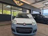 Fiat Panda bei Sportwagen.expert - Abbildung (4 / 15)