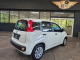 Fiat Panda bei Sportwagen.expert - Abbildung (8 / 15)