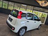 Fiat Panda bei Sportwagen.expert - Abbildung (10 / 15)