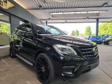 Mercedes-Benz M-Klasse bei Sportwagen.expert - Abbildung (5 / 15)