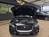 Jaguar F-Pace bei Sportwagen.expert - Abbildung (11 / 15)
