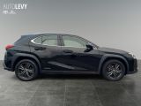 Lexus UX bei Sportwagen.expert - Abbildung (7 / 15)