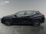 Lexus UX bei Sportwagen.expert - Abbildung (3 / 15)