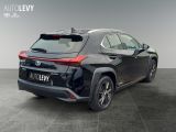 Lexus UX bei Sportwagen.expert - Abbildung (6 / 15)