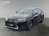 Lexus UX bei Sportwagen.expert - Abbildung (2 / 15)