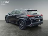 Lexus UX bei Sportwagen.expert - Abbildung (4 / 15)