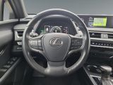 Lexus UX bei Sportwagen.expert - Abbildung (13 / 15)