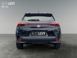 Lexus UX bei Sportwagen.expert - Abbildung (5 / 15)