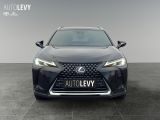 Lexus UX bei Sportwagen.expert - Abbildung (9 / 15)