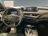 Lexus UX bei Sportwagen.expert - Abbildung (10 / 15)