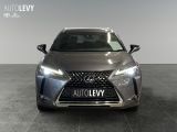 Lexus UX bei Sportwagen.expert - Abbildung (8 / 15)