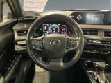 Lexus UX bei Sportwagen.expert - Abbildung (12 / 15)