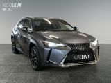 Lexus UX bei Sportwagen.expert - Abbildung (7 / 15)