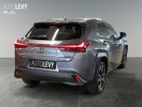 Lexus UX bei Sportwagen.expert - Abbildung (6 / 15)