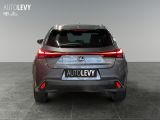 Lexus UX bei Sportwagen.expert - Abbildung (5 / 15)