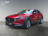 Mazda CX-30 bei Sportwagen.expert - Abbildung (2 / 15)