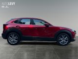 Mazda CX-30 bei Sportwagen.expert - Abbildung (7 / 15)