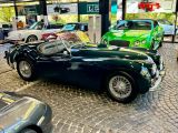 Jaguar XK bei Sportwagen.expert - Abbildung (3 / 15)