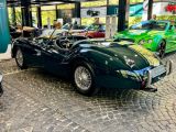 Jaguar XK bei Sportwagen.expert - Abbildung (7 / 15)