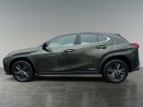 Lexus UX bei Sportwagen.expert - Abbildung (3 / 15)