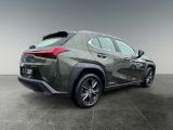 Lexus UX bei Sportwagen.expert - Abbildung (6 / 15)