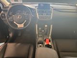 Lexus NX bei Sportwagen.expert - Abbildung (11 / 15)