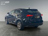Lexus NX bei Sportwagen.expert - Abbildung (4 / 15)