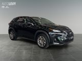 Lexus NX bei Sportwagen.expert - Abbildung (8 / 15)